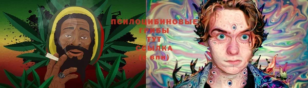 стаф Протвино