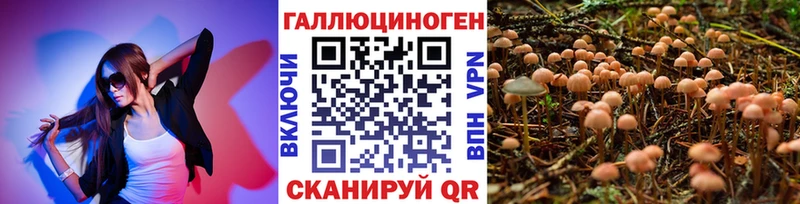 Псилоцибиновые грибы мицелий  MEGA ТОР  Вытегра 